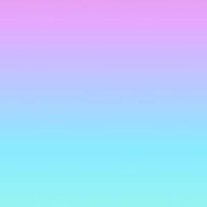 Meet your Posher, Ellie